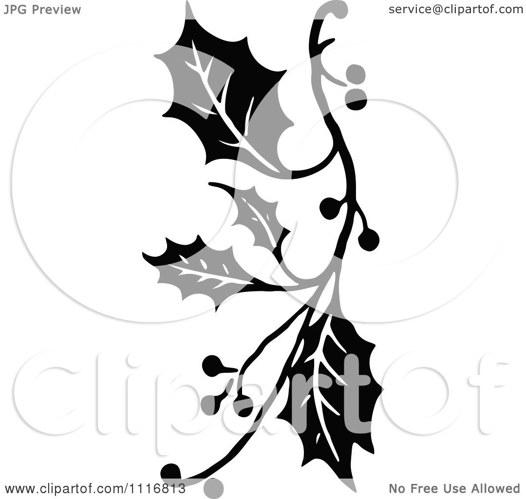 1080x1024 Clipart Retro Vintage Black And White Christmas Holly Sprig Design