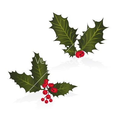 Free Holly Vector Images 380x400 Free Holly Vector Images