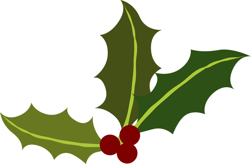 Holly Leaf Outline Vector Free 960x628 Holly Leaf Outline Vector Free