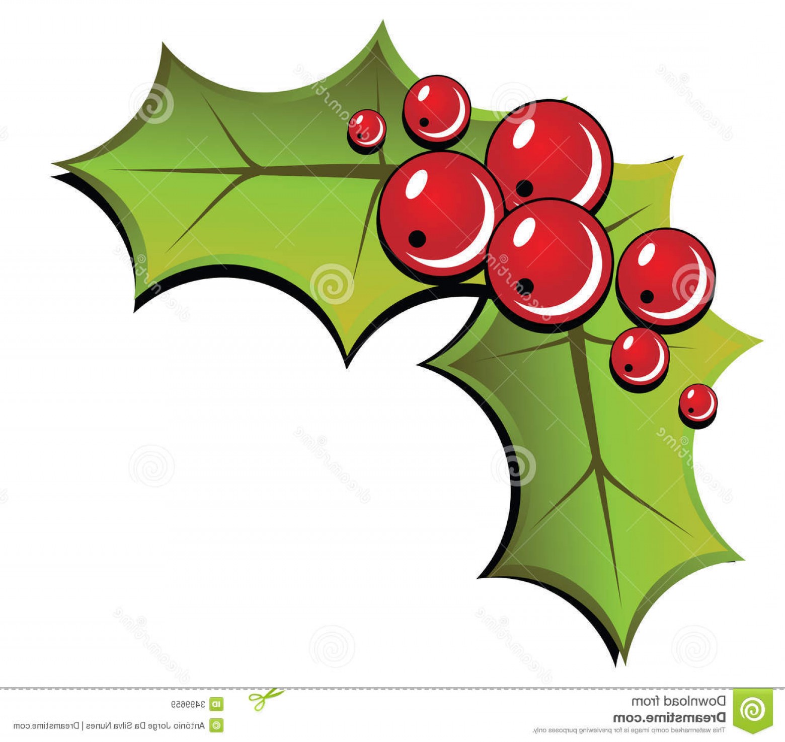 Royalty Free Stock Images Christmas Holly Image Catchsplace 1560x1473 Royalty Free Stock Images Christmas Holly Image Catchsplace