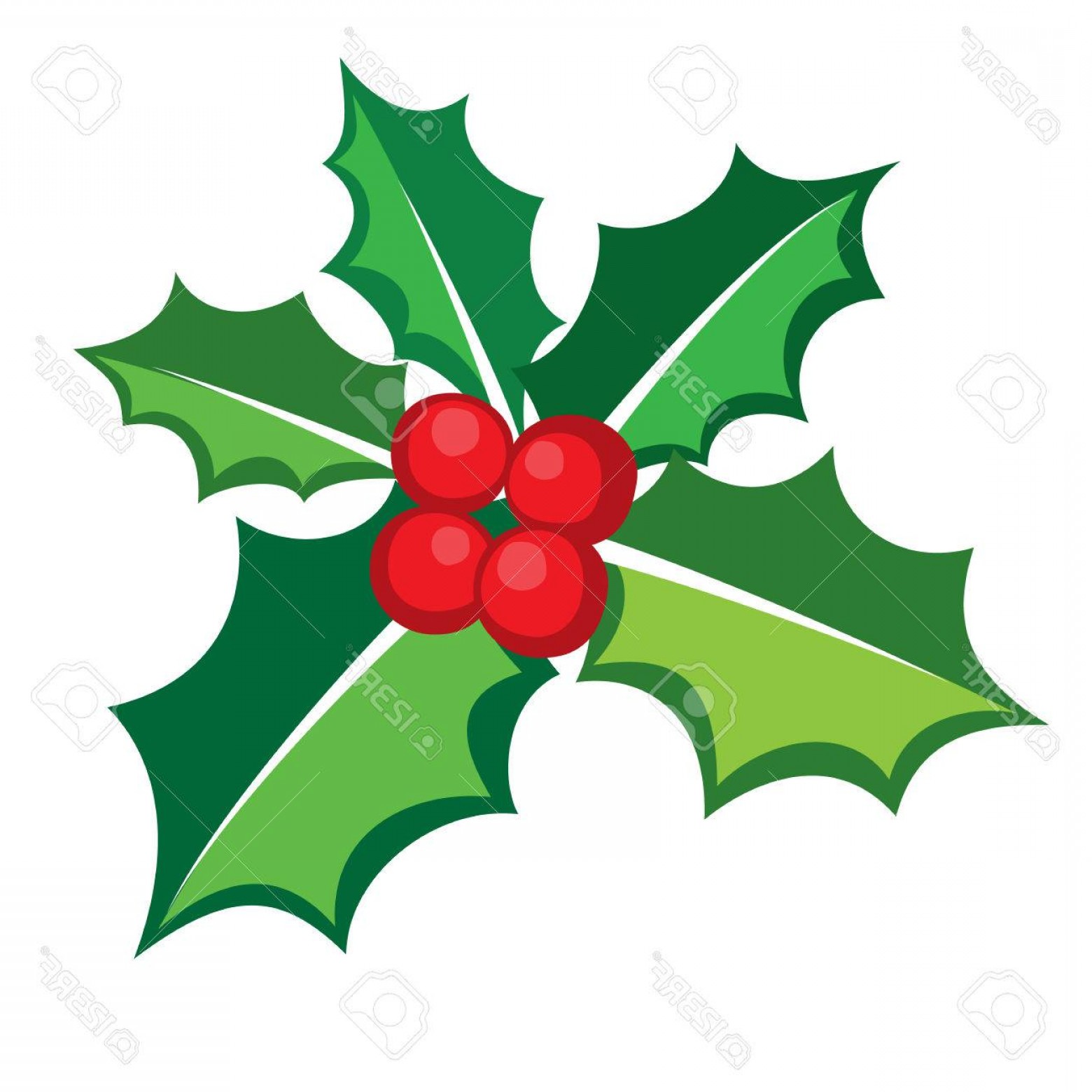 Christmas Holly Vector Catchsplace 1560x1560 Christmas Holly Vector Catchsplace