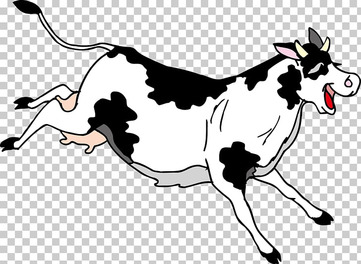 Holstein Cow Vector