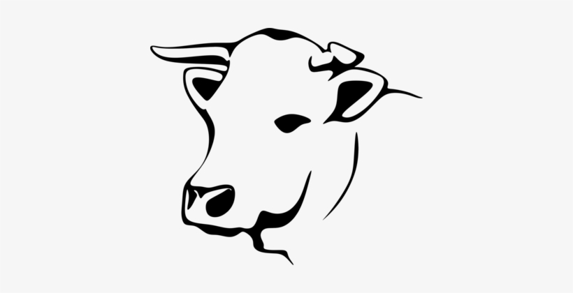820x420 Holstein Friesian Cattle Jersey Cattle Line Art Dairy