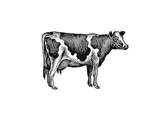 640x457 Vintage Milk Cow Vector
