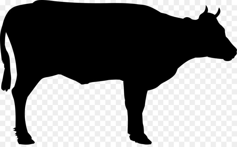 900x560 Cow Backgroundtransparent Png Image Clipart Free Download