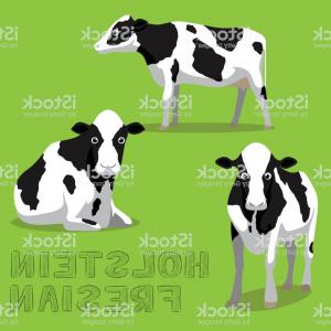 300x300 Cow Holstein Friesian Cartoon Vector Illustration Gm Hoodamathrun