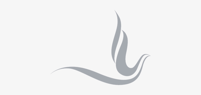 820x391 Dove Vector Png