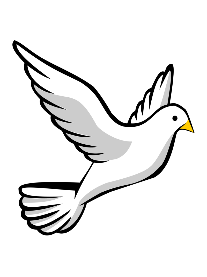 800x1067 Holy Spirit Png Images