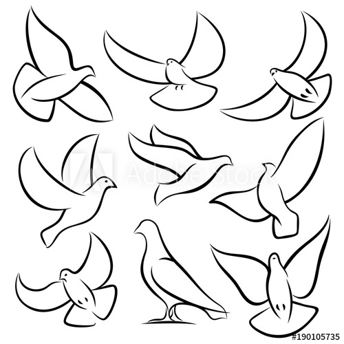 500x500 Outline Flying Doves, White Birds And Pigeons Vector Logos Holy