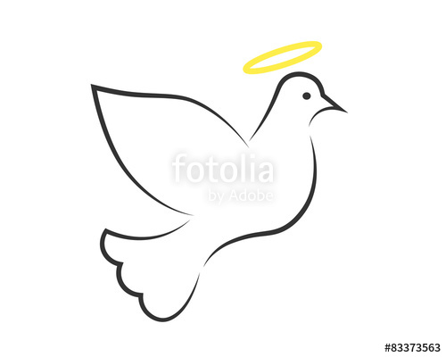 500x400 White Dove With Halo As The Holy Spirit Symbol Stock Image