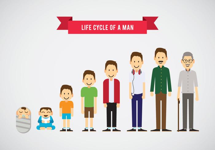 700x490 Ciclo De Vida De Un Hombre Vector