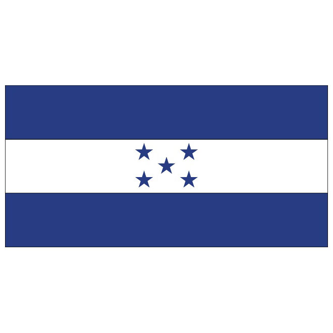 660x660 Honduras Vector Flag