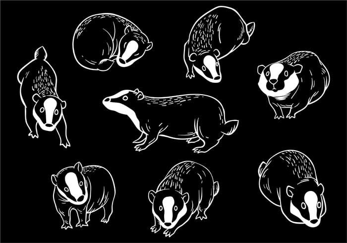 700x490 Free Honey Badger Icons Vector Free Graphics Uihere