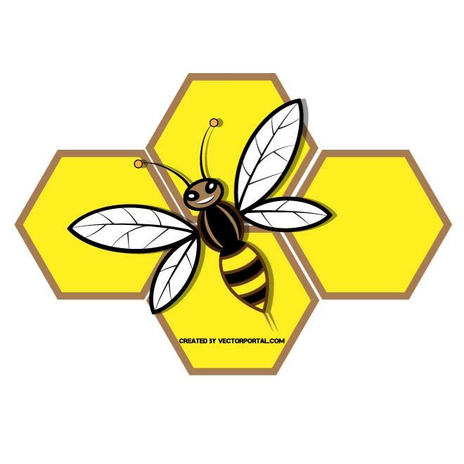 660x660 Honey Bee Vector Graphics