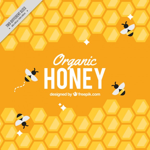 626x626 Honey Bee Vectors, Photos And Free Download