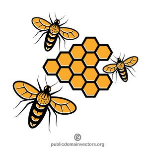 Honey Bee Vector at Vectorified.com | Collection of Honey Bee Vector ...