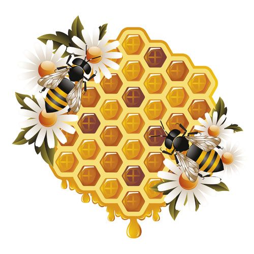 500x500 Elements Of Honey And Bees Vector Set