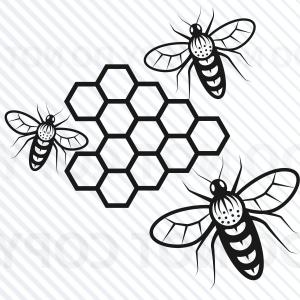 Honey Bee Vector at Vectorified.com | Collection of Honey Bee Vector ...