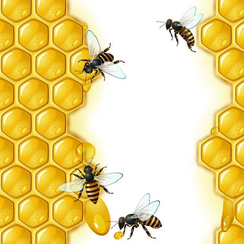 499x499 Realistic Honey And Bees Vector Graphics Free Vectors Ui Download