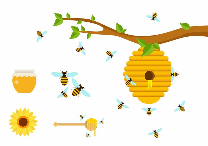 700x490 Bee Free Vector Art