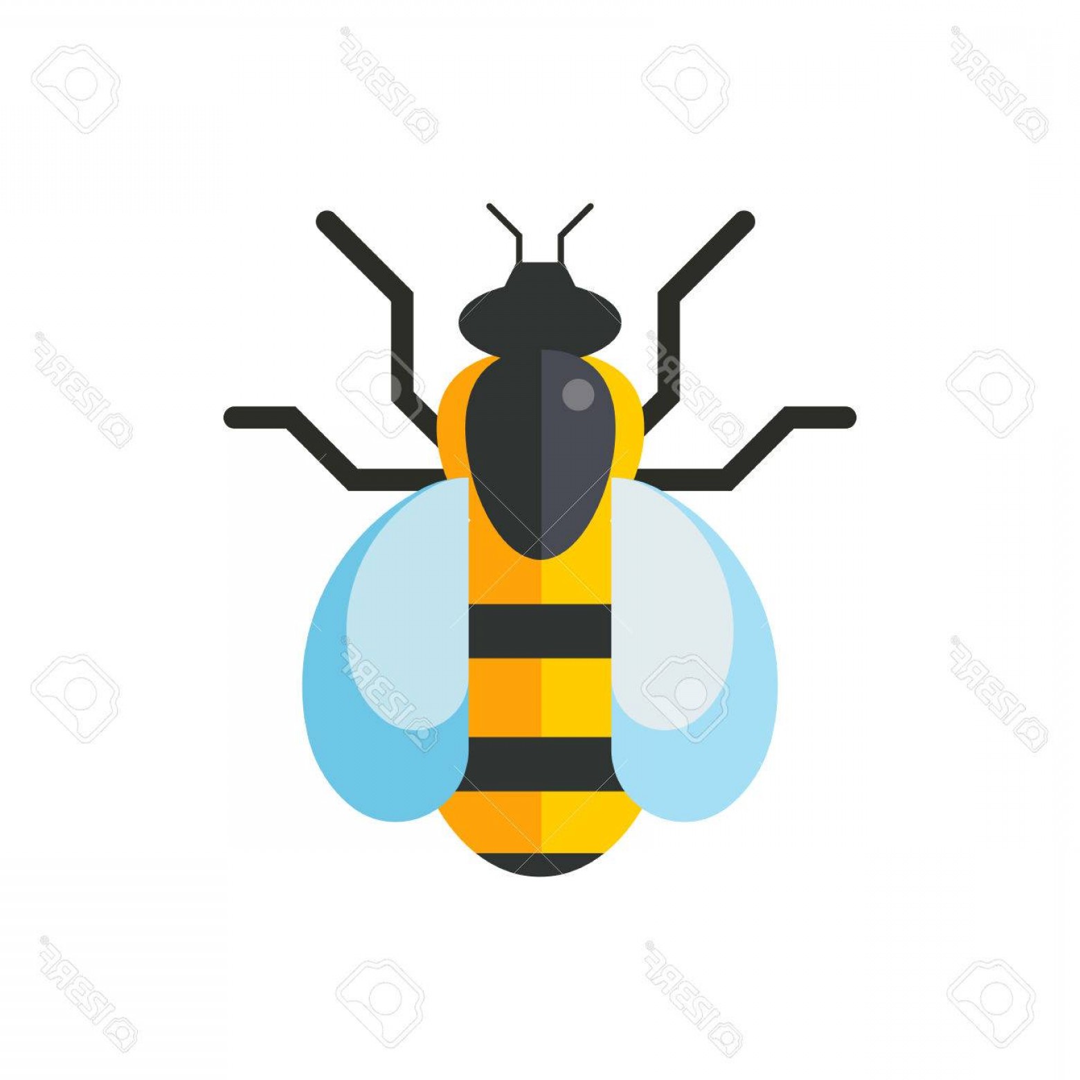 1560x1560 Western Honey Bee Vectors Savoyuptown