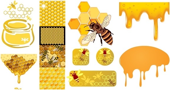 578x307 Bee Free Vector Download