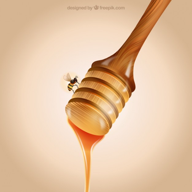 626x626 Honey Dipper With Bee Vector Free Download