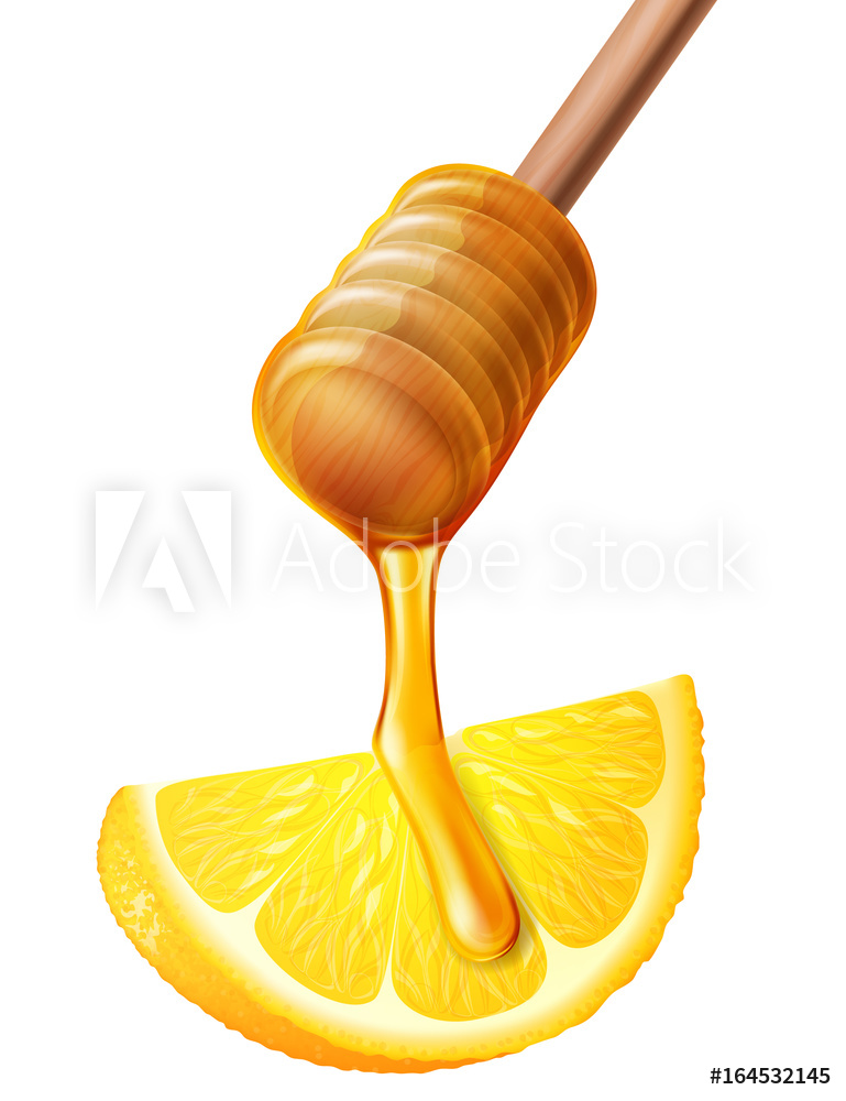 769x1000 Photo Art Print Wooden Honey Dipper And Lemon Vector
