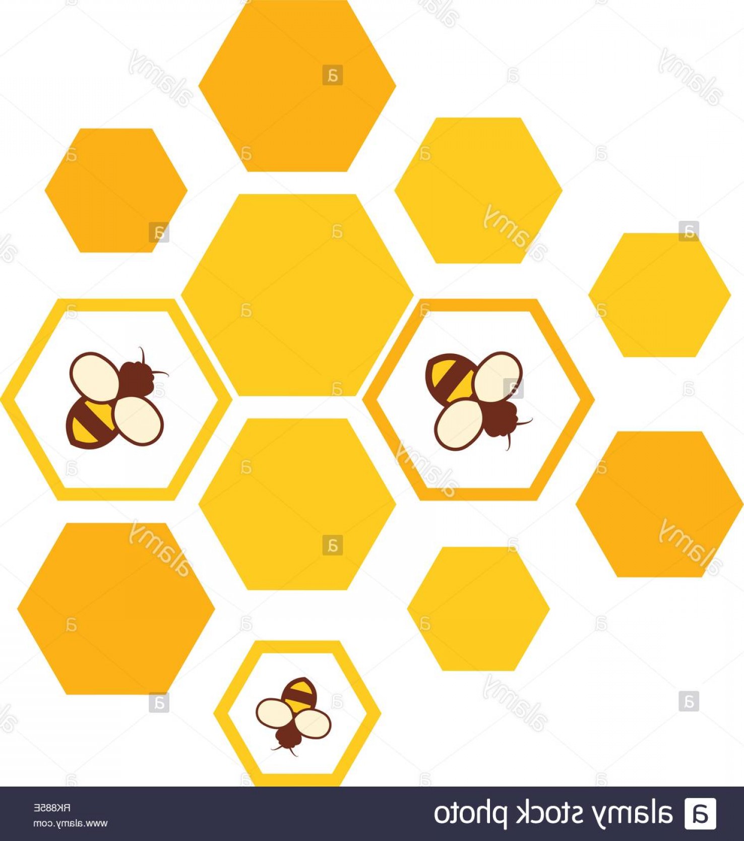 1476x1668 Honeycomb Vector Logo Hoodamath