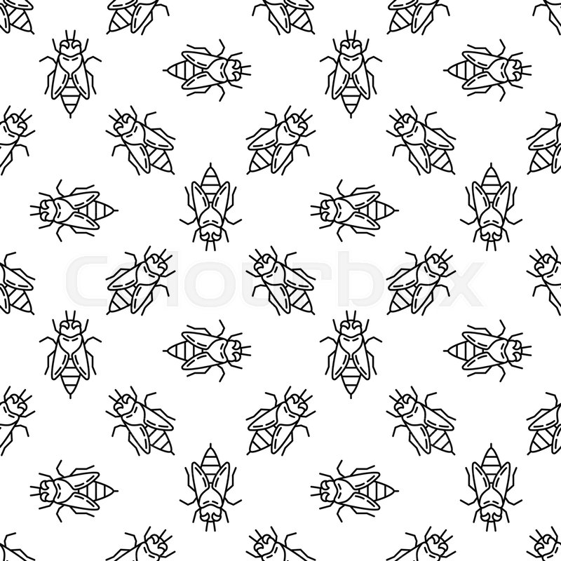 800x800 Honey Bee Seamless Pattern Vector Stock Vector Colourbox