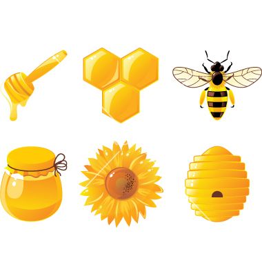 380x400 Honey Icons Vector