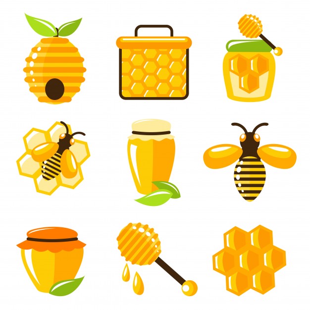 626x626 Honey Vector Vectors, Photos And Free Download