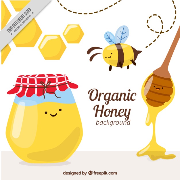 626x626 Honey Vectors, Photos And Free Download