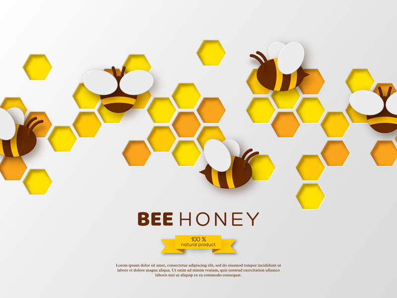 800x600 Papercut Honey Vector Composition