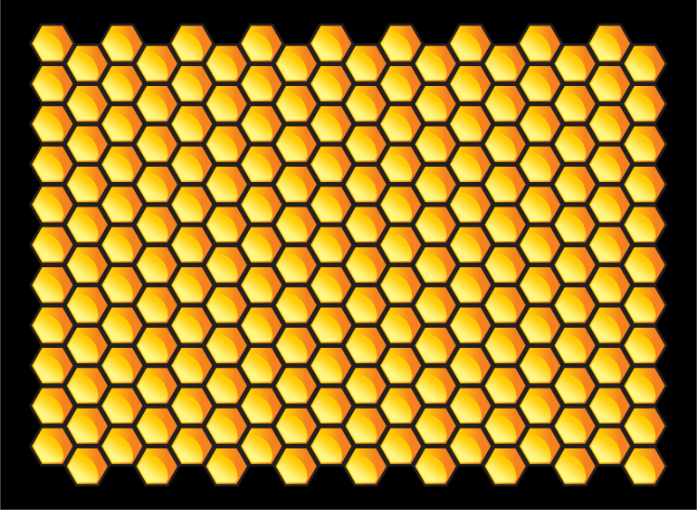 770x563 Bee Honey Honeycomb