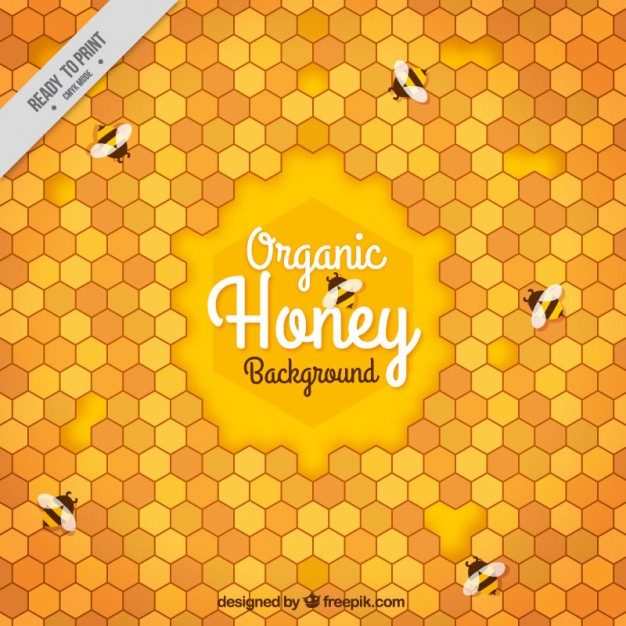 626x626 Honeycomb Vectors, Photos And Free Download