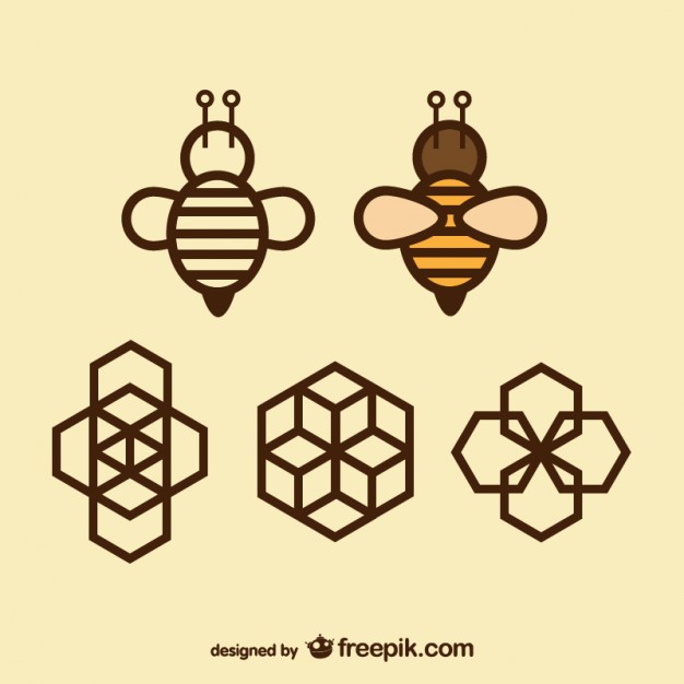 626x626 Geometry Icons Bee And Honeycomb Vector Free Download