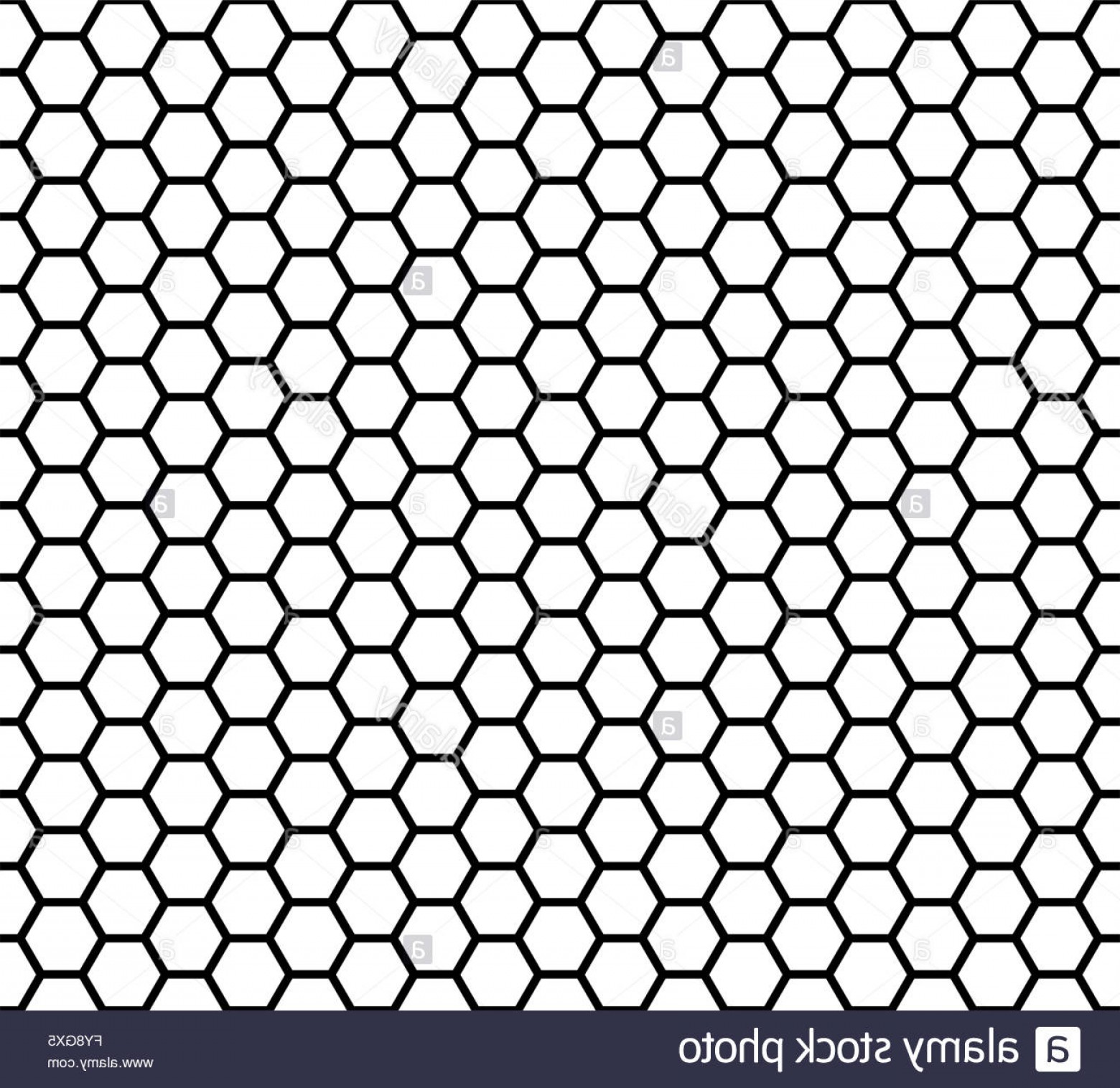 1560x1516 Honeycomb Vector Logo Hoodamath