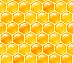 284x245 Bee Honey Honeycomb
