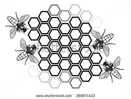 450x338 Honeycomb Clipart Black And White