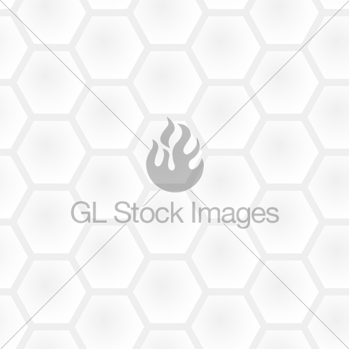 500x500 Vector Seamless Honeycomb Light Gray Pattern White And Bl Gl