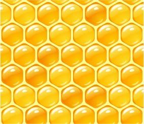 284x245 Free Vector Bee Honey Honeycomb Vector Graphic Available For Free