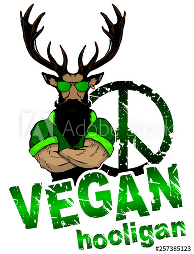 382x500 Vegan Hooligan
