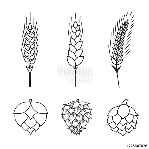 500x500 Malt, Rye, Barley, Wheat Ears And Hop Cone Beer Icon Grain Cereal