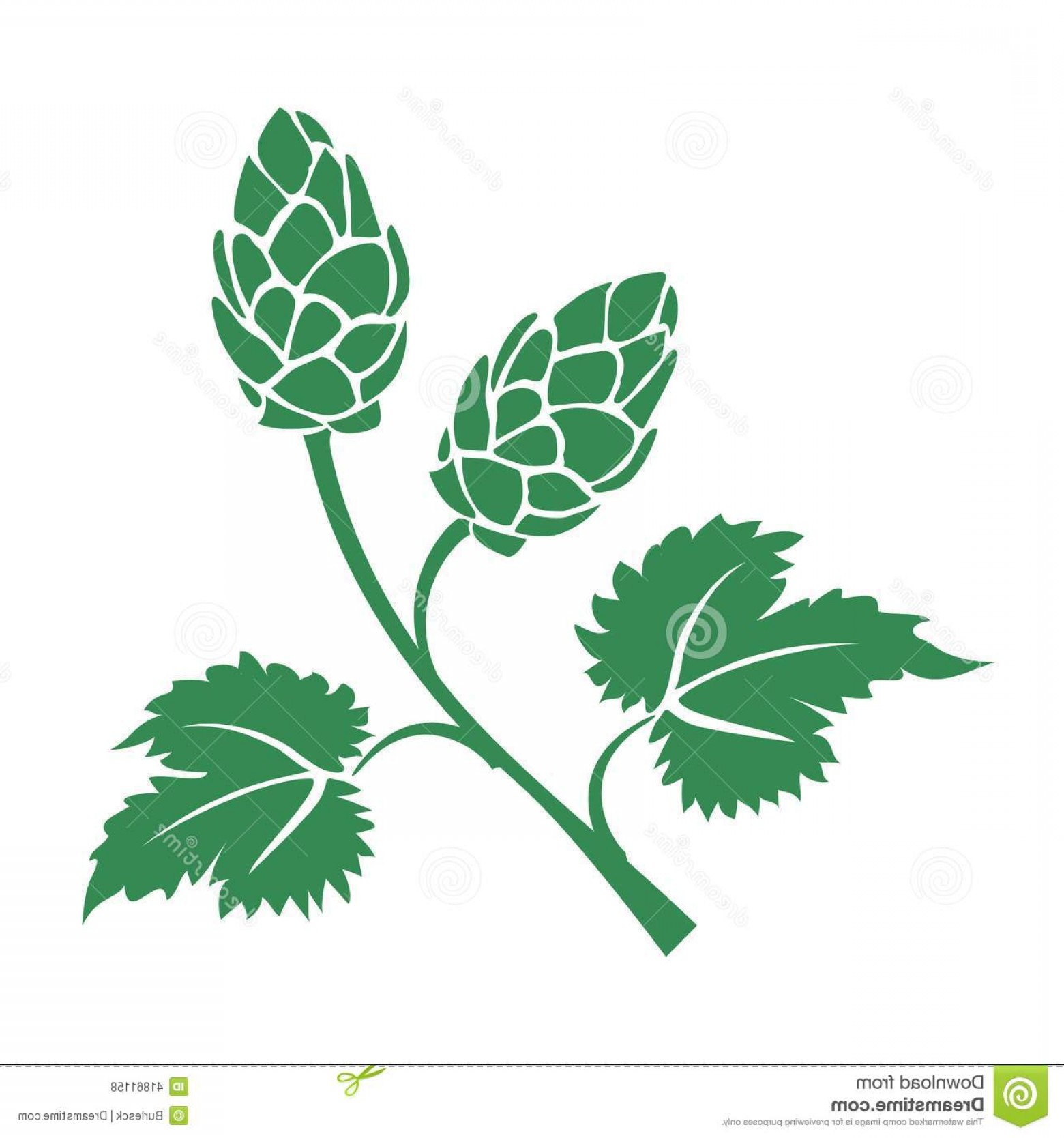 1560x1668 Stock Illustration Green Vector Hops Icon Silhouette Leaves Cone