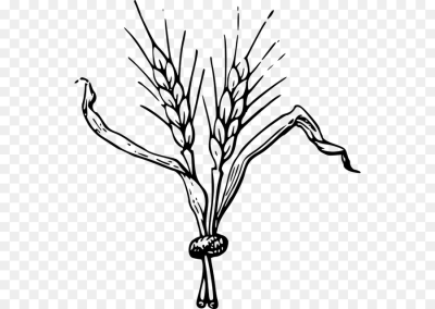 400x284 Download Free Png Hop Cone Illustration