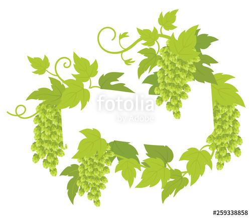 500x433 Hop Plant Frame Circle Label Round Border Frame Decor Copy Space