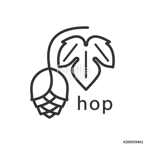 500x500 Hops And Leaf A Simple Linear Icon Vector Illustration
