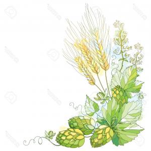 300x300 Photostock Vector Stem With Ornate Hops And Barley Ears Barley