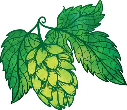 447x387 Vector Hops Icon Premium Clipart